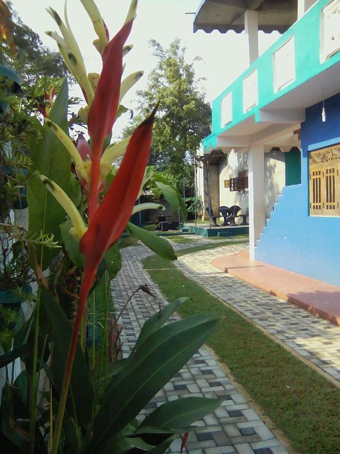Thomasha Homestay Wellawaya Zewnętrze zdjęcie