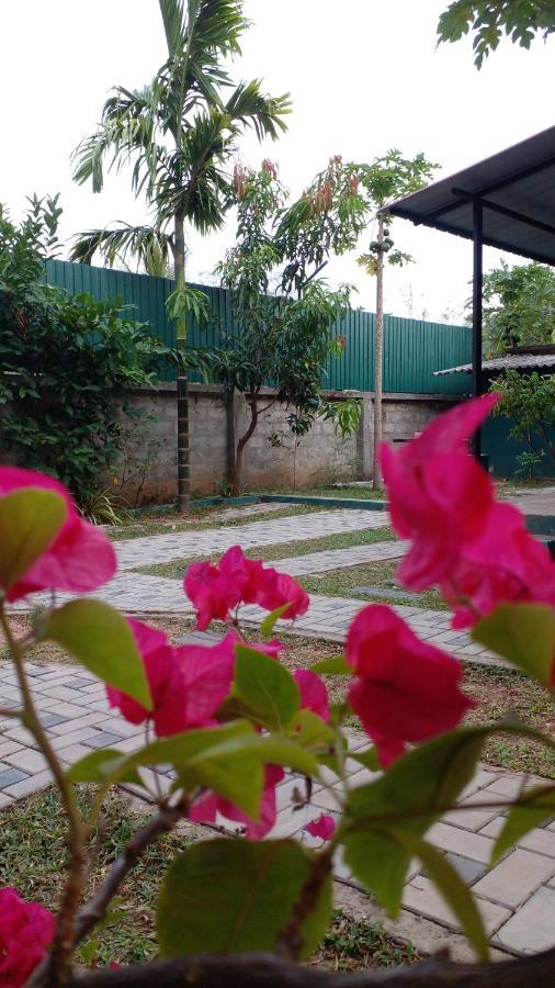 Thomasha Homestay Wellawaya Zewnętrze zdjęcie
